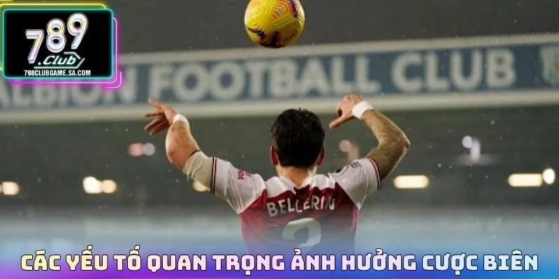 Các yếu tố quan trọng ảnh hưởng cược biên