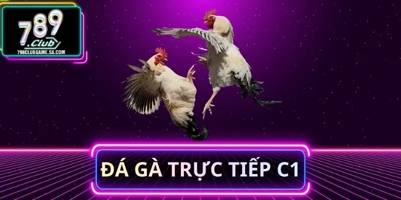 Đá Gà Trực Tiếp C1