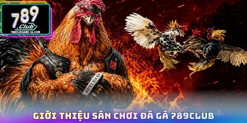 Giới thiệu sân chơi đá gà 789CLUB