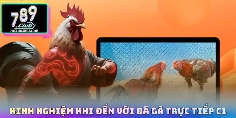 Kinh nghiệm khi đến với Đá gà trực tiếp C1 