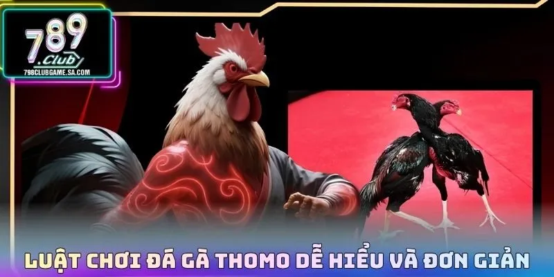 Luật chơi Đá gà thomo dễ hiểu và đơn giản