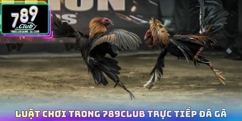 Luật chơi trong 789CLUB trực tiếp đá gà