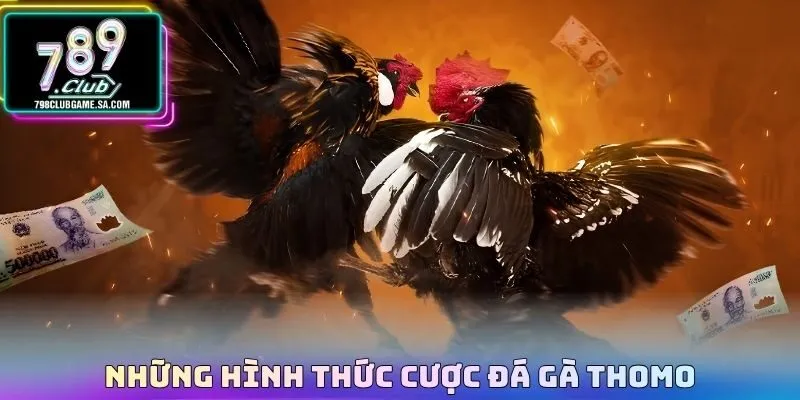 Những hình thức cược Đá gà thomo