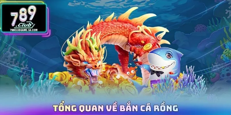 Tổng quan về Bắn cá rồng