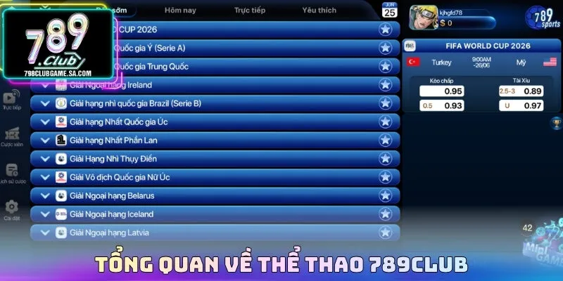 Tổng quan về thể thao 789CLUB
